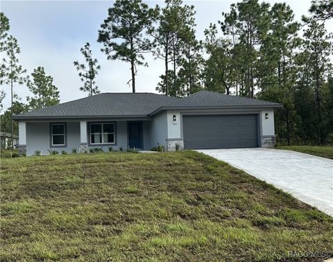 1021 W CARY Drive Citrus Springs FL 34450