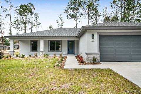 A home in Citrus Springs