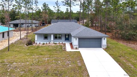 A home in Citrus Springs