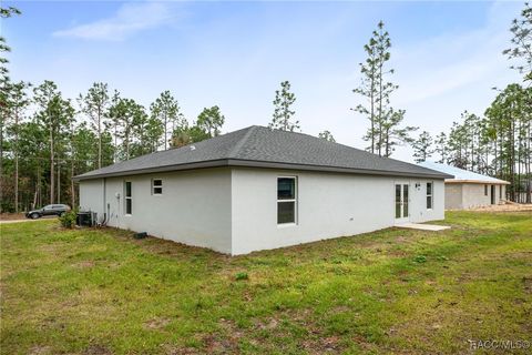 A home in Citrus Springs