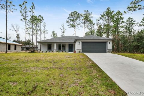 A home in Citrus Springs