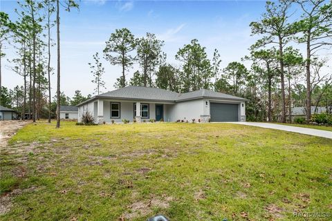 A home in Citrus Springs