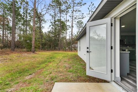 A home in Citrus Springs