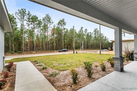 A home in Citrus Springs