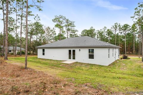 A home in Citrus Springs