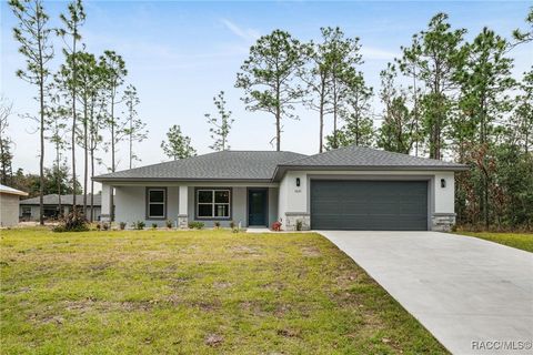 A home in Citrus Springs