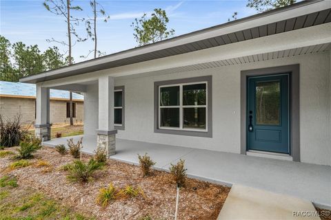 A home in Citrus Springs