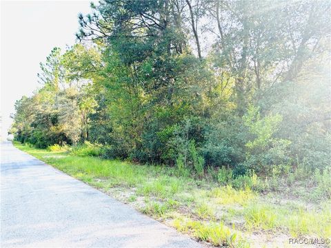 Homes For Sale - TBD SW Pineapple Hill Drive<br/> Dunnellon, FL 34431