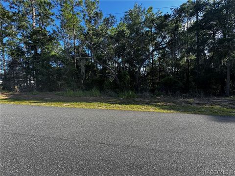 Vacant Land For Sale - 5241 E Hopp Lane<br/> Inverness, FL 34452