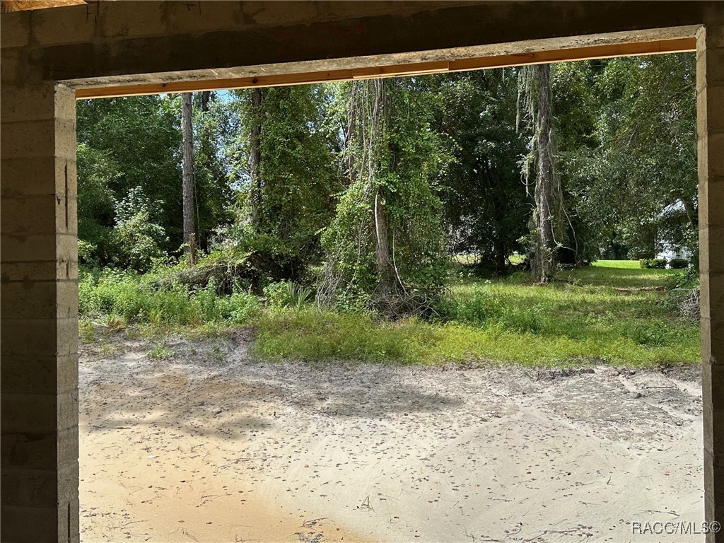 4056 Southern Valley Loop, Brooksville, Florida image 10