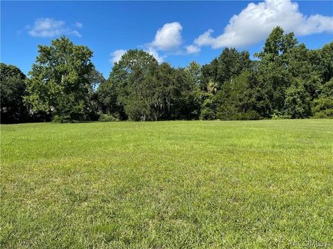 Vacant Land For Sale - 11572 W Timberlane Drive<br/> Homosassa, FL 34448