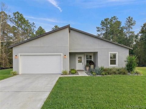 Homes For Sale - 9657 N Elkcam Boulevard<br/> Citrus County, Citrus Springs, FL 34433