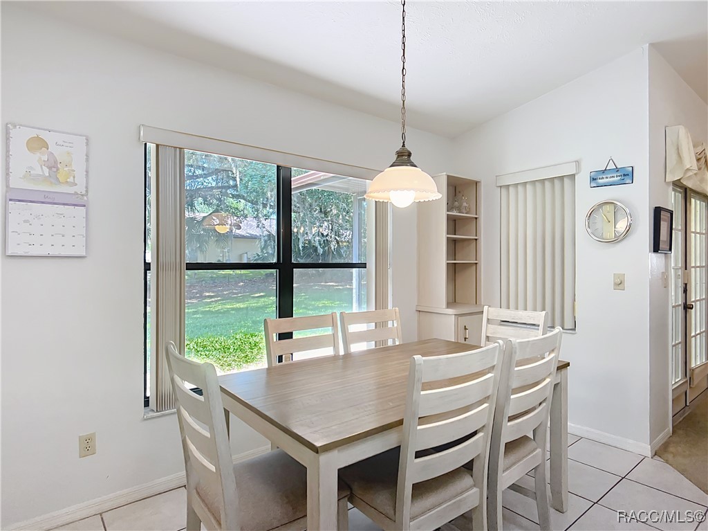 9304 E Alvada Lane, Inverness, Florida image 22