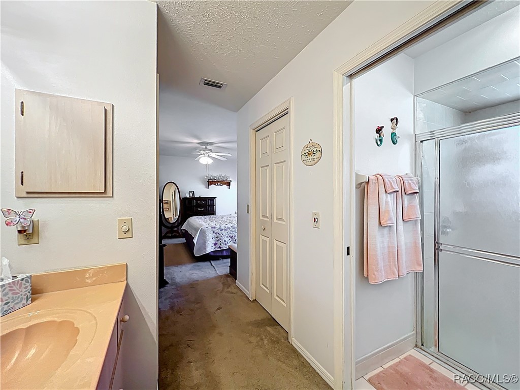 9304 E Alvada Lane, Inverness, Florida image 33