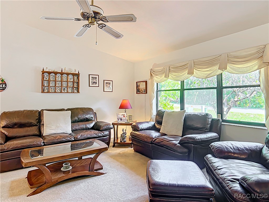 9304 E Alvada Lane, Inverness, Florida image 15