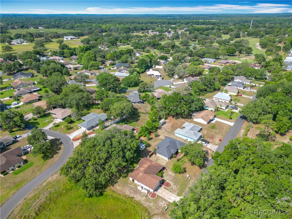 9304 E Alvada Lane, Inverness, Florida image 6