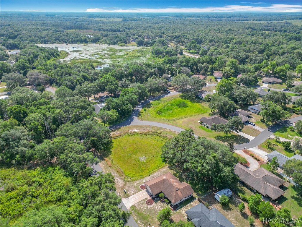 9304 E Alvada Lane, Inverness, Florida image 3