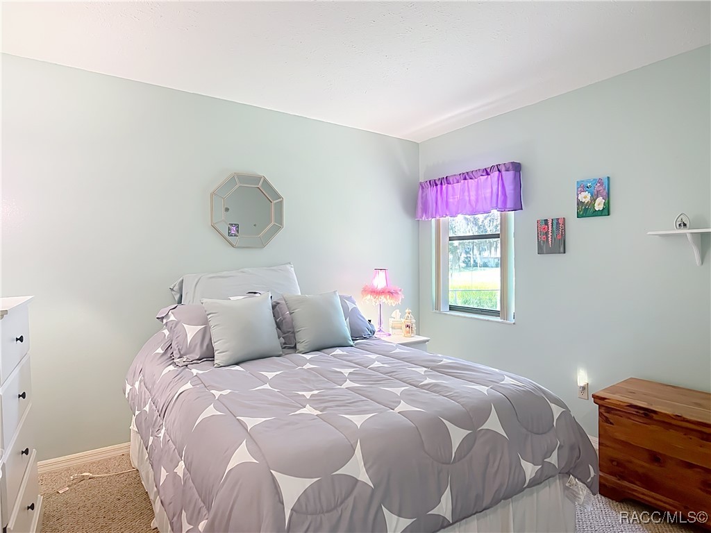 9304 E Alvada Lane, Inverness, Florida image 40