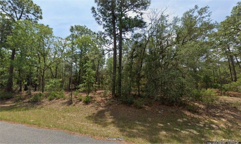 Vacant Land For Sale - 11345 N Kenney Loop<br/> Dunnellon, FL 34433