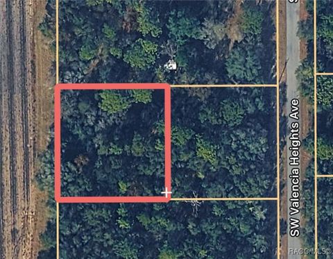 Vacant Land For Sale - 0000 SW Valencia Heights #022 Avenue<br/> Dunnellon, FL 34431