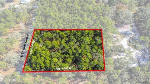 Homes For Sale - 3418 E Shands Court<br/> Inverness, FL 34452
