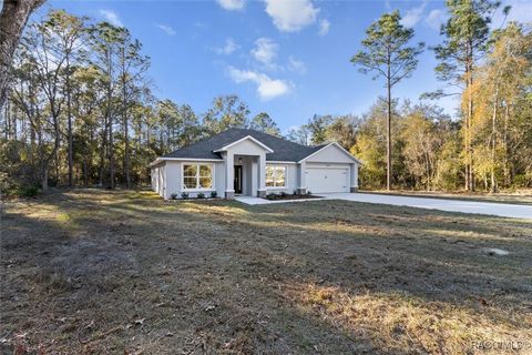 A home in Weeki Wachee