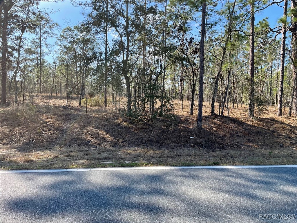 LOT 14 NW Ridgewood Road, Dunnellon, Florida image 1