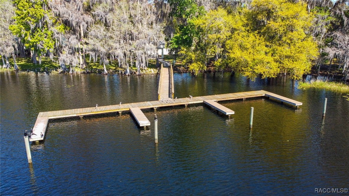 836 Lanark Drive, Inverness, Florida image 39