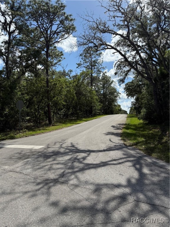 132 S Thayer Avenue, Lecanto, Florida image 2
