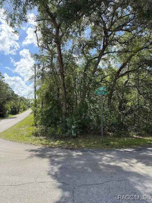 132 S Thayer Avenue, Lecanto, Florida image 7