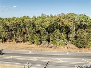 Vacant Land For Sale - 0000 E Hwy 25<br/> Belleview, FL 34420