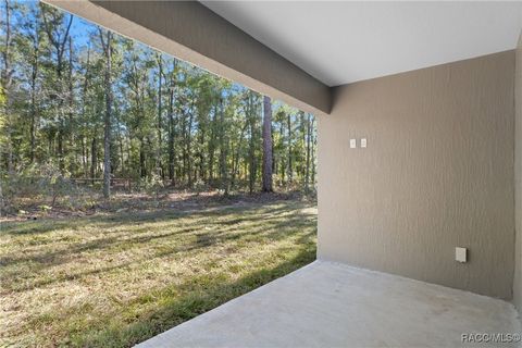 A home in Citrus Springs