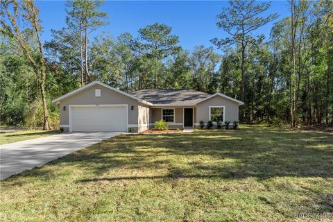 A home in Citrus Springs