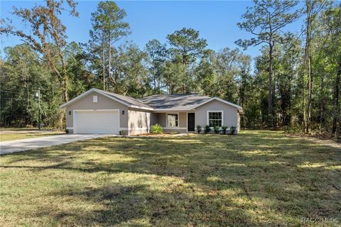 A home in Citrus Springs