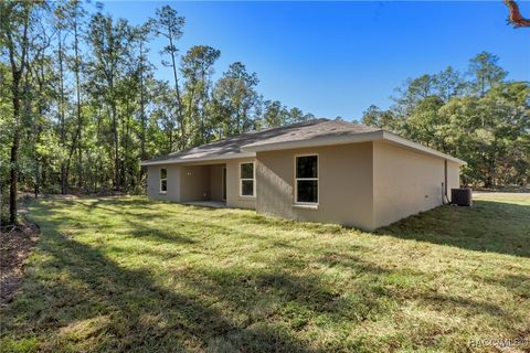 A home in Citrus Springs