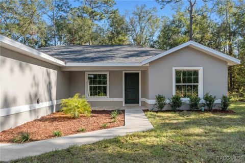 A home in Citrus Springs