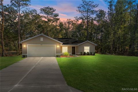 A home in Citrus Springs