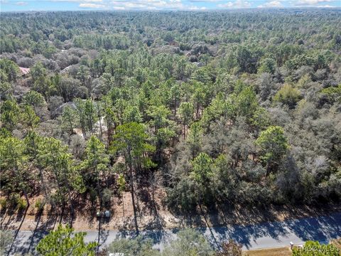 Vacant Land For Sale - 3905 N Longvalley Road<br/> Hernando, FL 34442