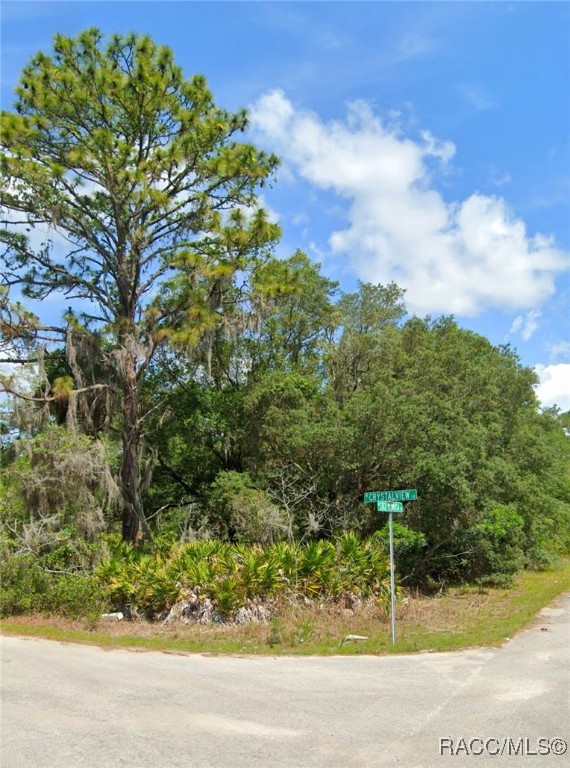 10262 N Coco Plumosa Drive, Crystal River, Florida image 3