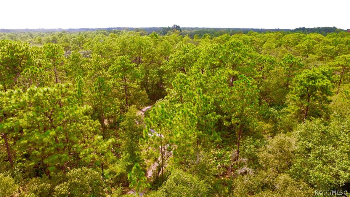 10064 S Suncoast Boulevard, Homosassa, Florida image 6