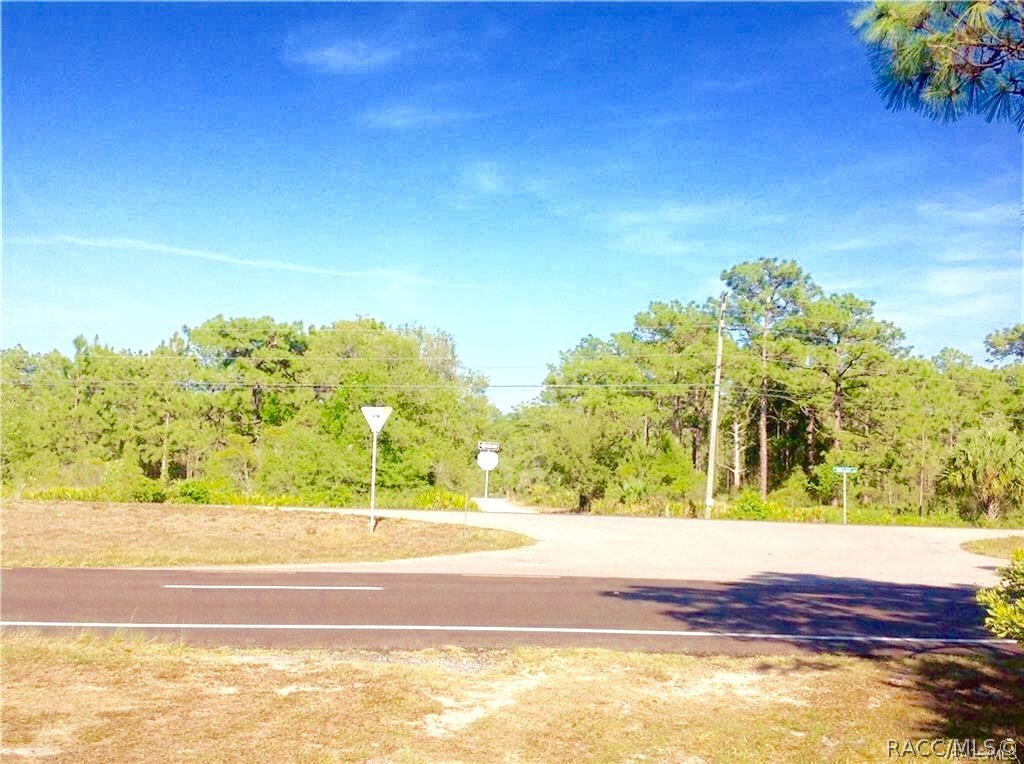 10064 S Suncoast Boulevard, Homosassa, Florida image 9