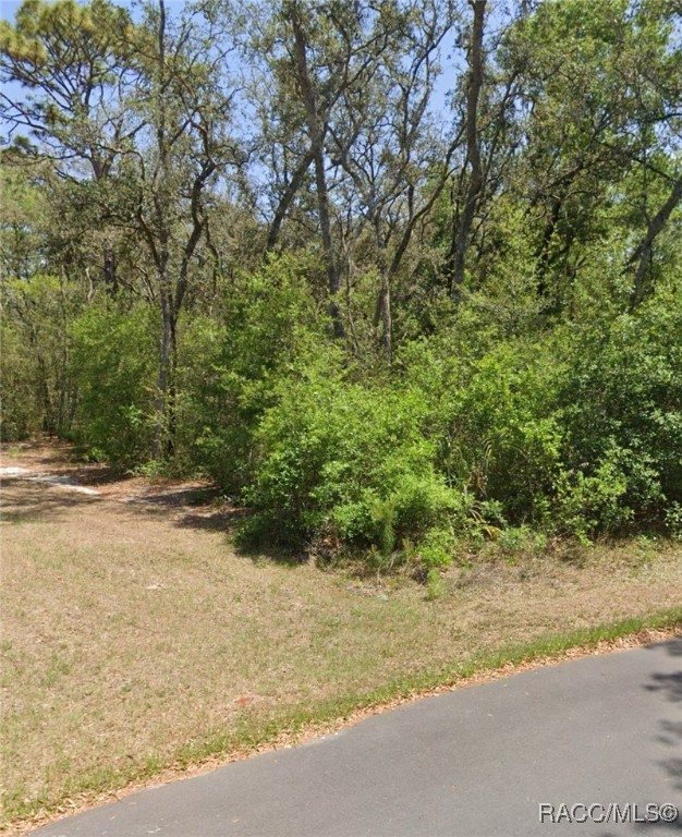 TBD Locust Radial Avenue #C35, Ocala, New York image 2