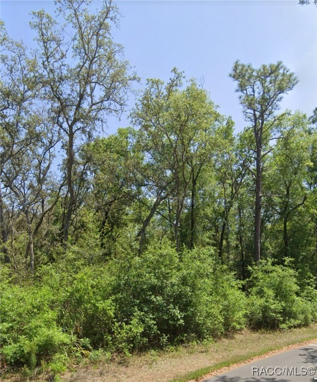 TBD Locust Radial Avenue #C35, Ocala, New York image 1