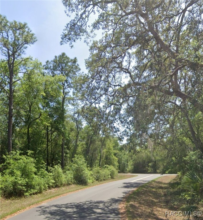 TBD Locust Radial Avenue #C35, Ocala, New York image 3