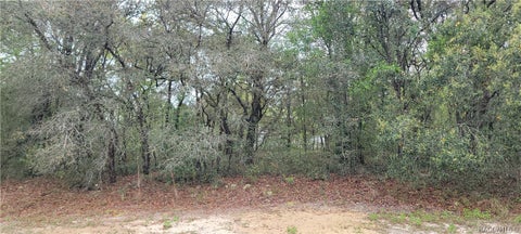 Vacant Land For Sale - 3028 W Randolph Lane<br/> Citrus Springs, FL 34433