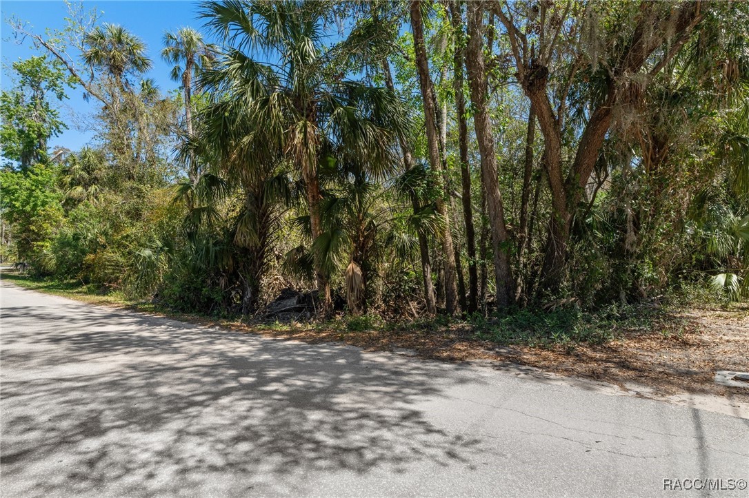 5480 S Havens Terrace, Homosassa, Florida image 20