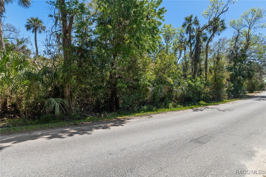5480 S Havens Terrace, Homosassa, Florida image 21