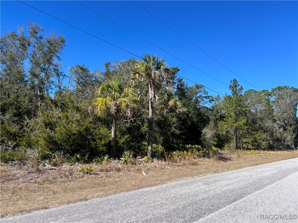 10128 N Twinflower Terrace, Crystal River, Florida image 4