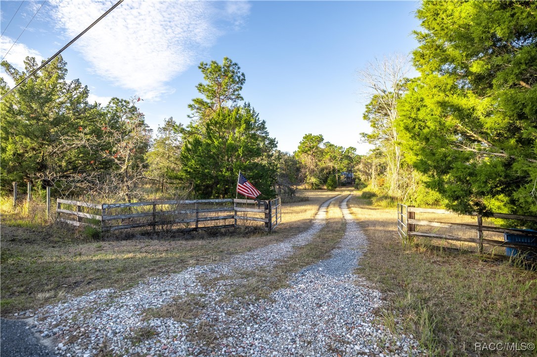 11317 Salina Street, Brooksville, Florida image 8