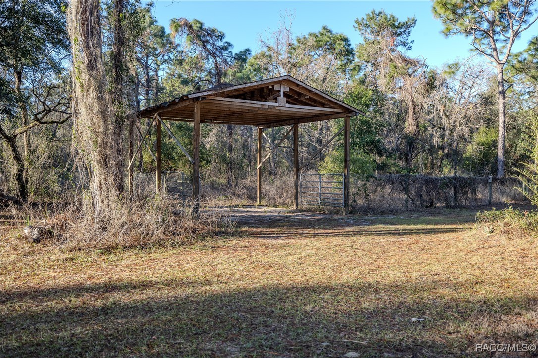 11317 Salina Street, Brooksville, Florida image 30